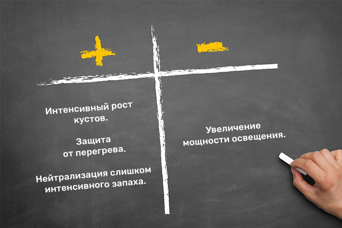 Если дополнительно добавлять CO2, то необходимо увеличить мощность освещения Положительные и отрицательные стороны применения углекислого газа